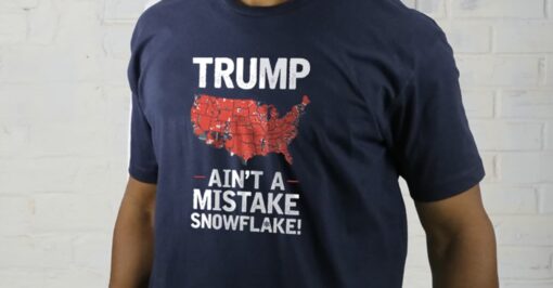 It Ain't A Mistake Voting Demographic T-Shirts