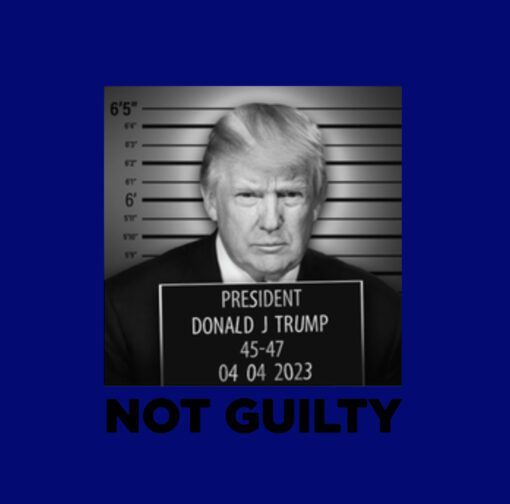 Official Trump Mugshot Navy Cotton T-Shirts