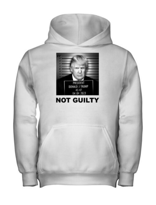 Official Trump Mugshot Not Guilty Hoodie