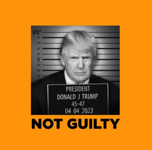 Official Trump Mugshot Orange Cotton T-Shirts