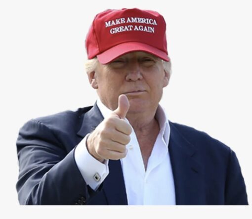 Make America Great Again hat