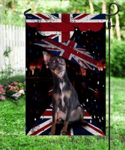 black english toy terrier dog uk flag ntt47fv6 2575