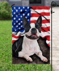 boston terrier. american patriot flag 2058