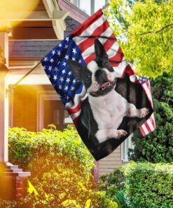 boston terrier. american patriot flag 4389