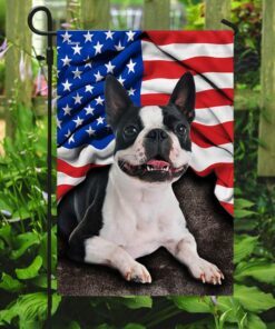 boston terrier. american patriot flag 4453