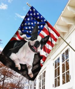 boston terrier. american patriot flag 7635