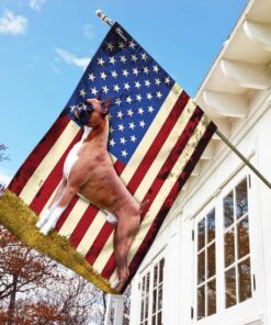 boxer american us flag 1070