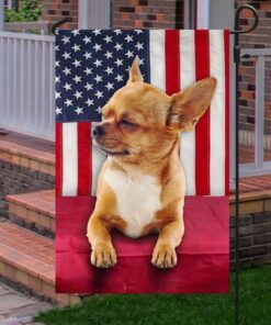 chihuahua dog flag cute dog lnt48fv1 2964