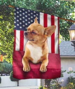 chihuahua dog flag cute dog lnt48fv1 3316