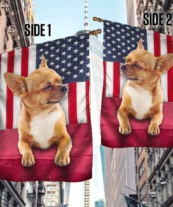 chihuahua dog flag cute dog lnt48fv1 3911