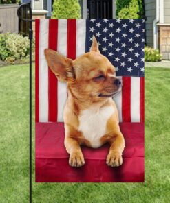 chihuahua dog flag cute dog lnt48fv1 4635