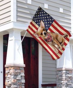 chihuahua flag 6459