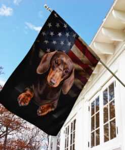 chocolate and tan dachshund flag 1509