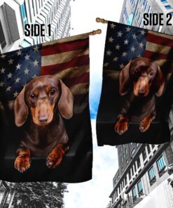 chocolate and tan dachshund flag 2637