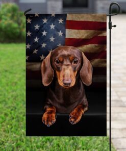 chocolate and tan dachshund flag 3378