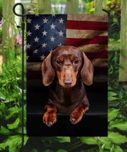 chocolate and tan dachshund flag 4561