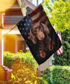 chocolate and tan dachshund flag 8805