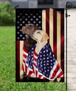 chocolate and yellow labrador retrievers american patriot flag 2956