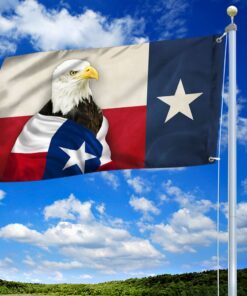 eagle texas patriot grommet flag tqn71gf 3179