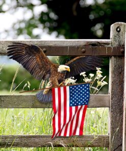 eagle with american flag hanging metal sign qnk751msv21 5091