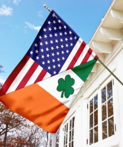 irish american us flag 6373