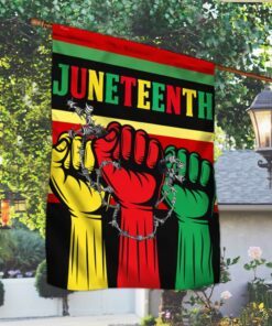 juneteenth african flag through ntb554f 2119