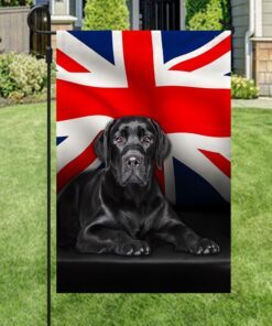 labrador retriever uk flag qnn437fv7k1 1624