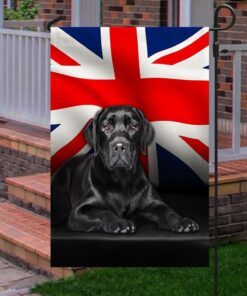 labrador retriever uk flag qnn437fv7k1 5675