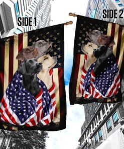 labrador retrievers american patriot flag 4696