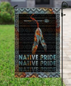 native american flag 2639