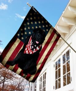 newfoundland dog american flag 4281