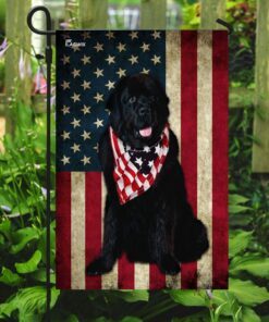 newfoundland dog american flag 6267