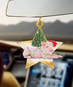 pig christmas custom shaped ornament star ntb392o 4495