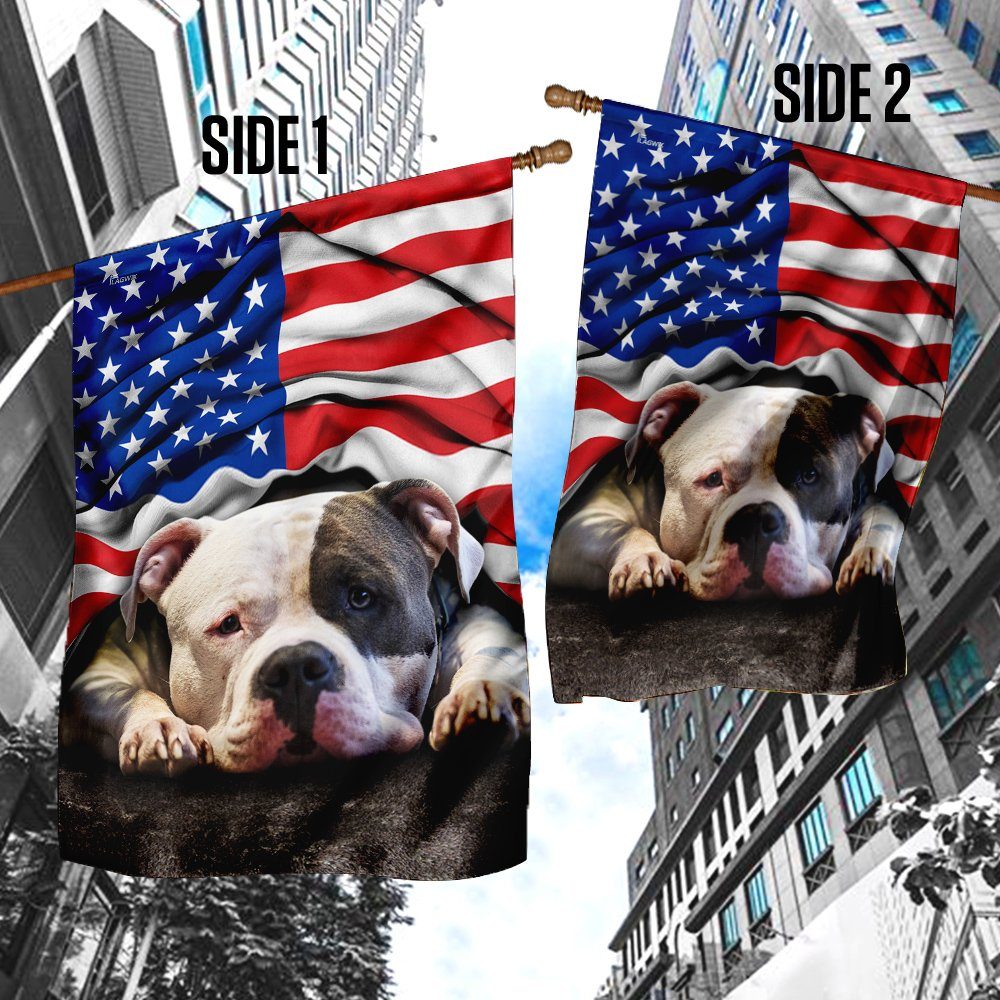 Pit Bull. American Patriot Flag