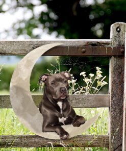 pit bull and moon hanging metal sign qnk879msv23a 1756