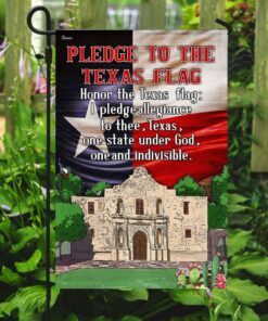 pledge to the texas flag 1164