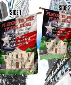 pledge to the texas flag 5414