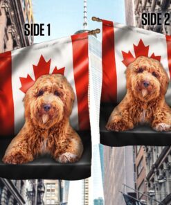 poodle flag flagwix™ poodle image with canadian flag qnn557fv12 2929