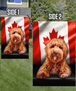 poodle flag flagwix™ poodle image with canadian flag qnn557fv12 3394