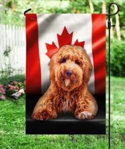 poodle flag flagwix™ poodle image with canadian flag qnn557fv12 3448