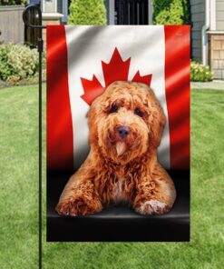 poodle flag flagwix™ poodle image with canadian flag qnn557fv12 7941