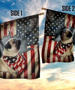 pug happy 4th of july. american us flag 5057