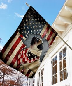 pug happy 4th of july. american us flag 5947