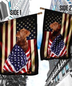 red fox labrador american patriot flag 1339