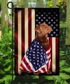 red fox labrador american patriot flag 1480