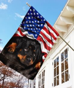 rottweiler. american patriot flag 4731