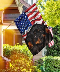 rottweiler. american patriot flag 5248