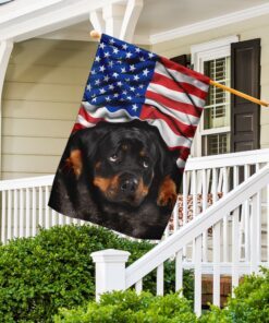 rottweiler. american patriot flag 5891