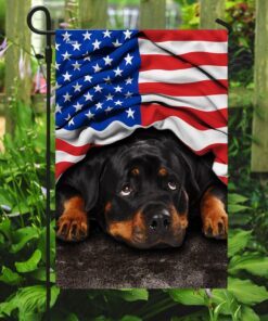 rottweiler. american patriot flag 7469