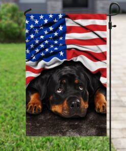 rottweiler. american patriot flag 8854